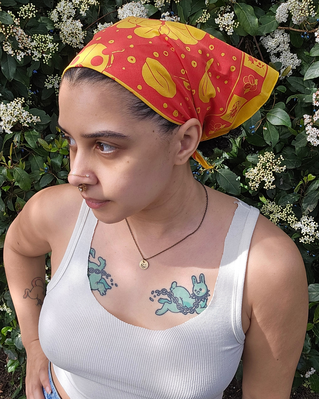 Ladybug Bandana